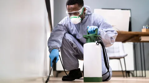 Why Pest Control is Essential in Baltimore MD