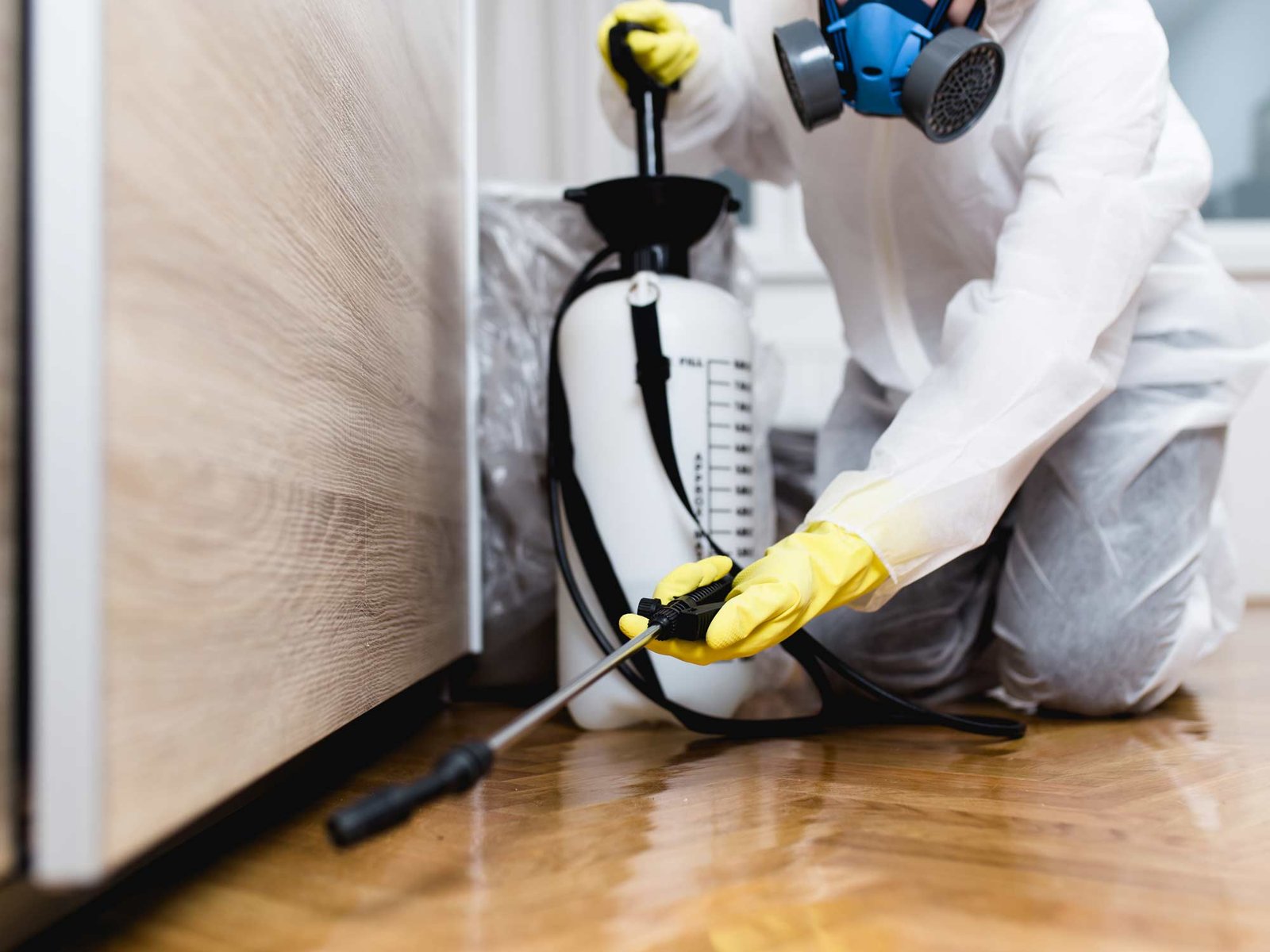 Residential Pest Control Services In Baltimore MD