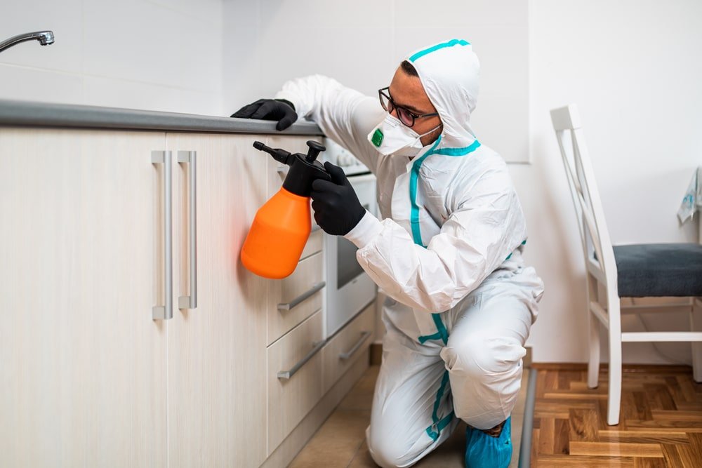 Residential Pest Control