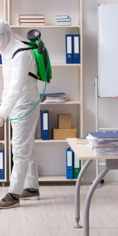 Benefits of Hiring a Licensed Commercial Pest Control Company in Baltimore MD