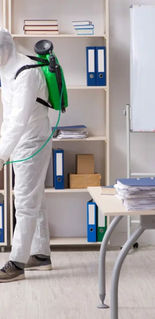 Benefits of Hiring a Licensed Commercial Pest Control Company in Baltimore MD