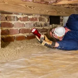Termite Inspection Control Services Hyattsville MD