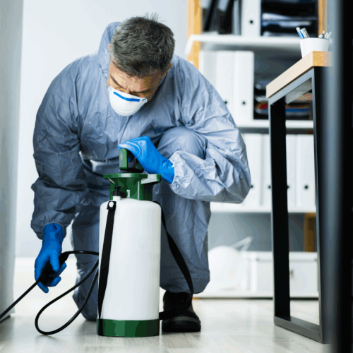 Why Businesses in Washington DC Need Commercial Pest Control​