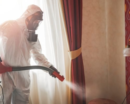 Why Choose Our Termite Experts in Hyattsville Maryland