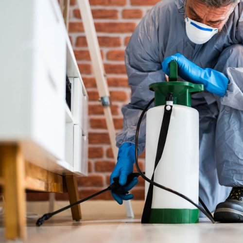 Rodent and Wildlife Control Services